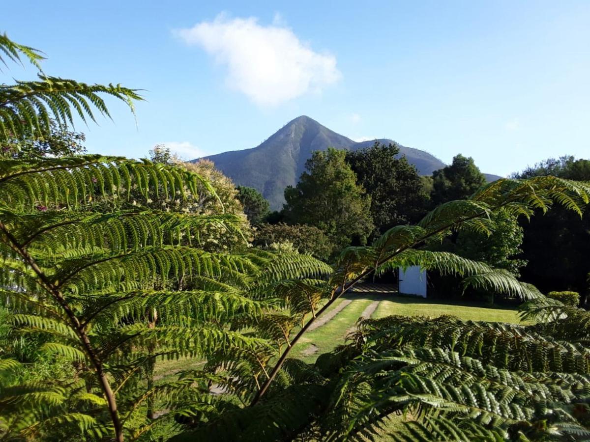 Nadine'S Self-Catering Accommodation Stormsrivier Exterior foto